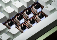 Turtle Silent Tactile Switches