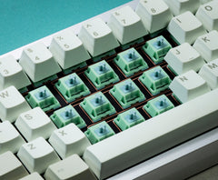 HMX Frog Tactile Switches
