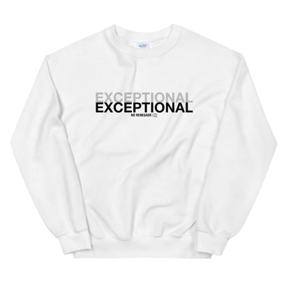 Twice Exceptional Sweatshirt