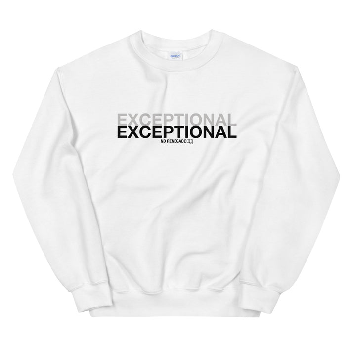 Twice Exceptional Sweatshirt